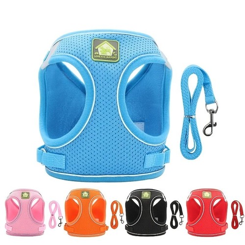 Pull dog pet - no, harness